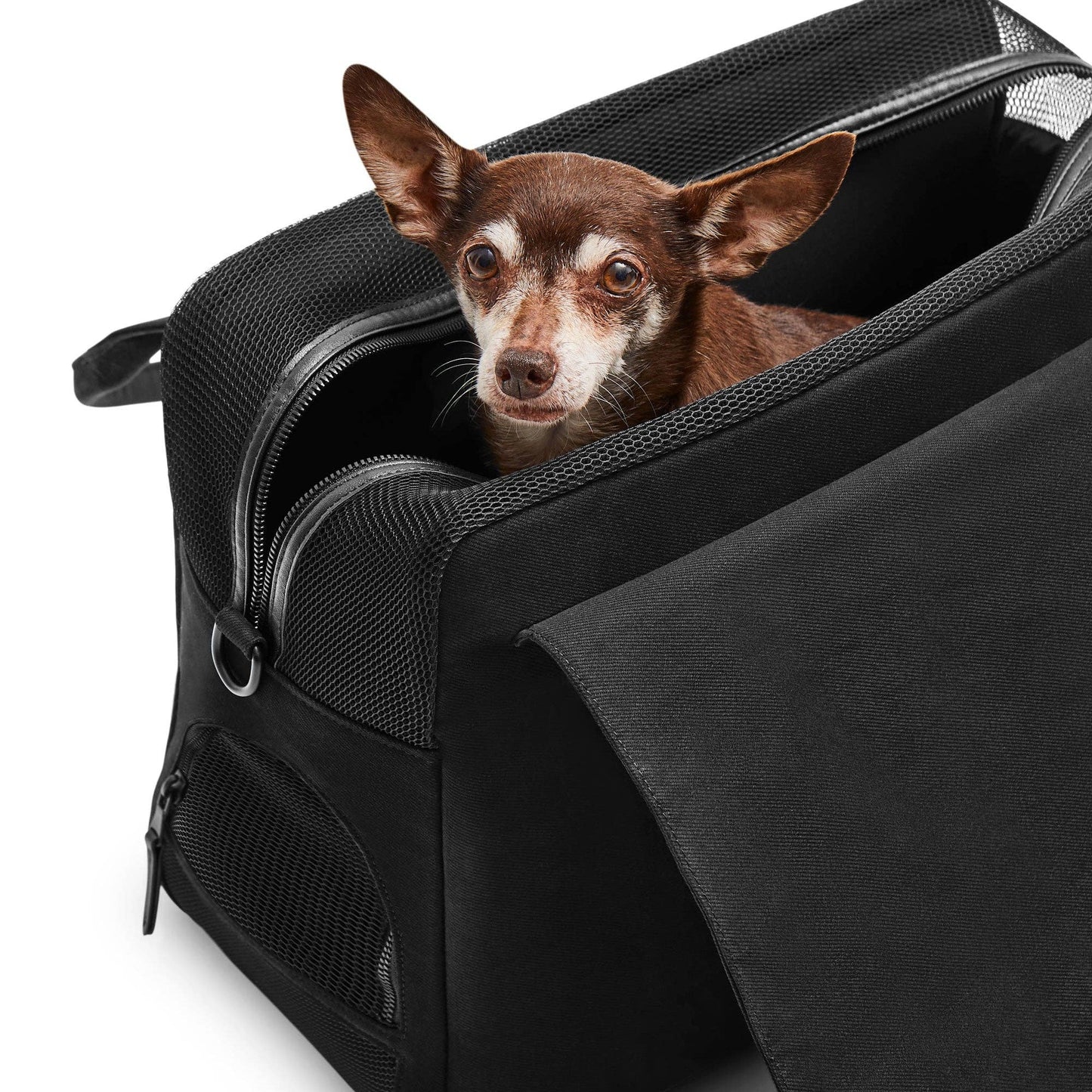 Destination Hundetasche