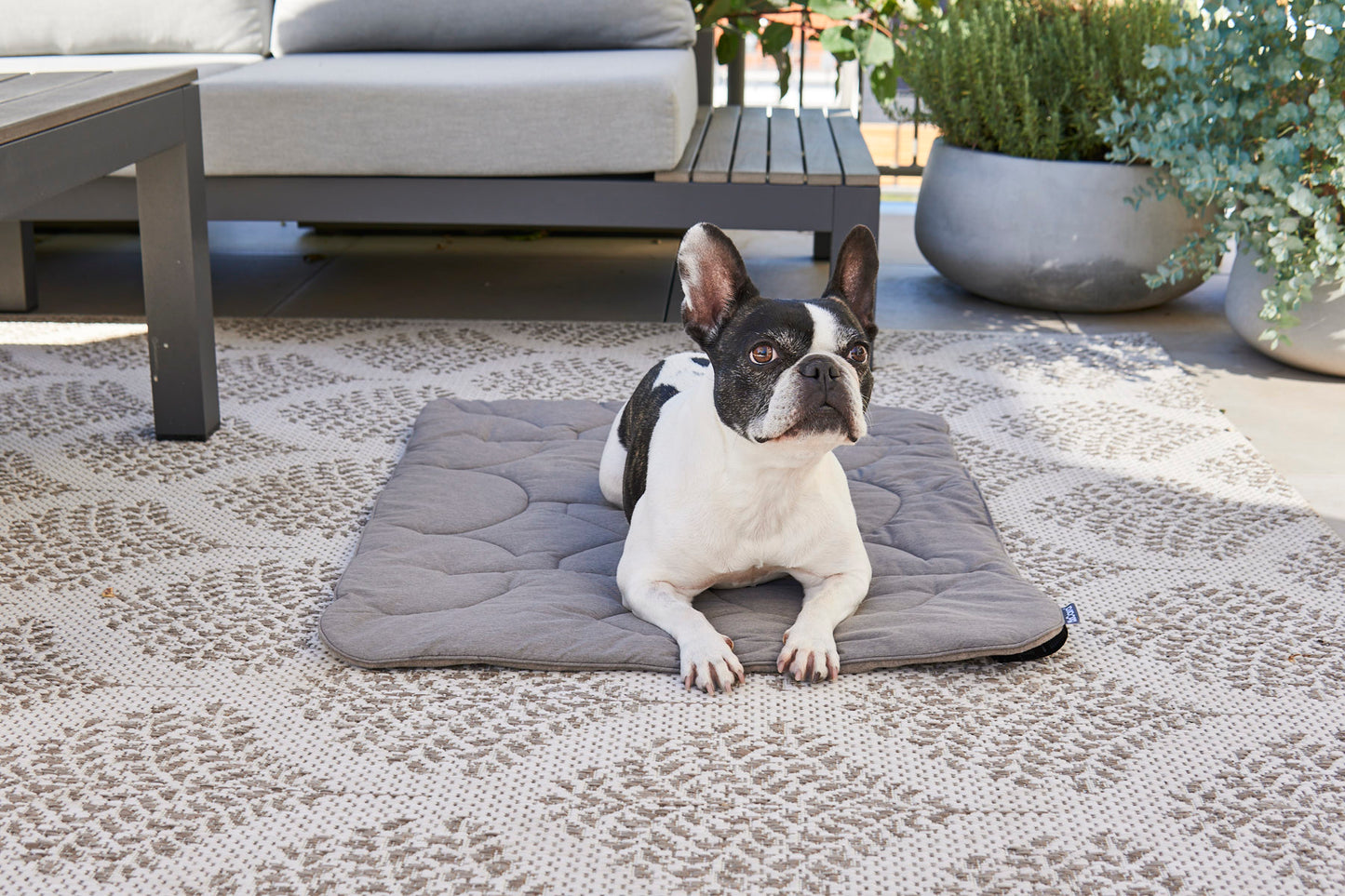 Linea Quilted Blanket