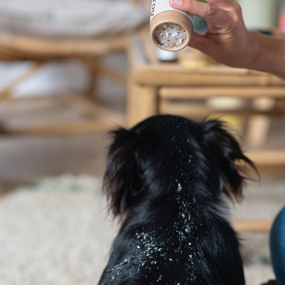 Organic Dry Dog Shampoo