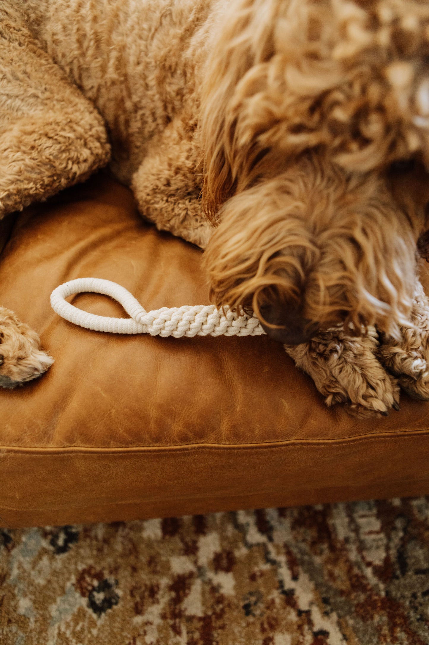Macrame Rope Dog Tug Toy