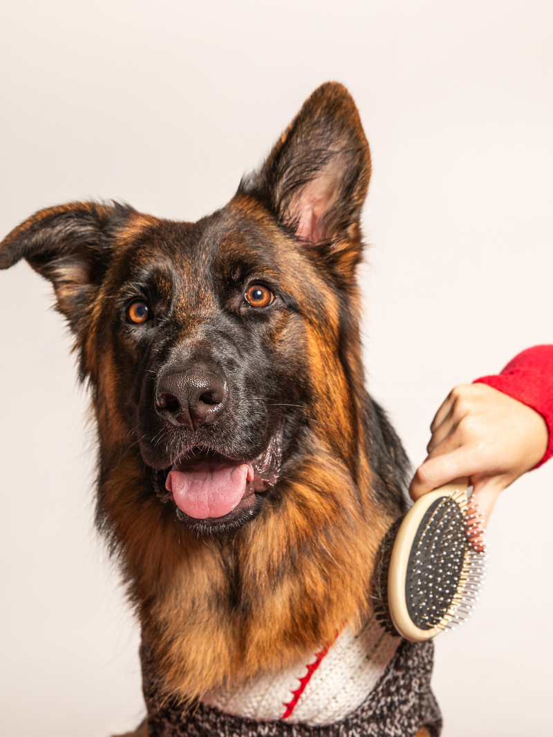 Doppelseitige Tagesbürste