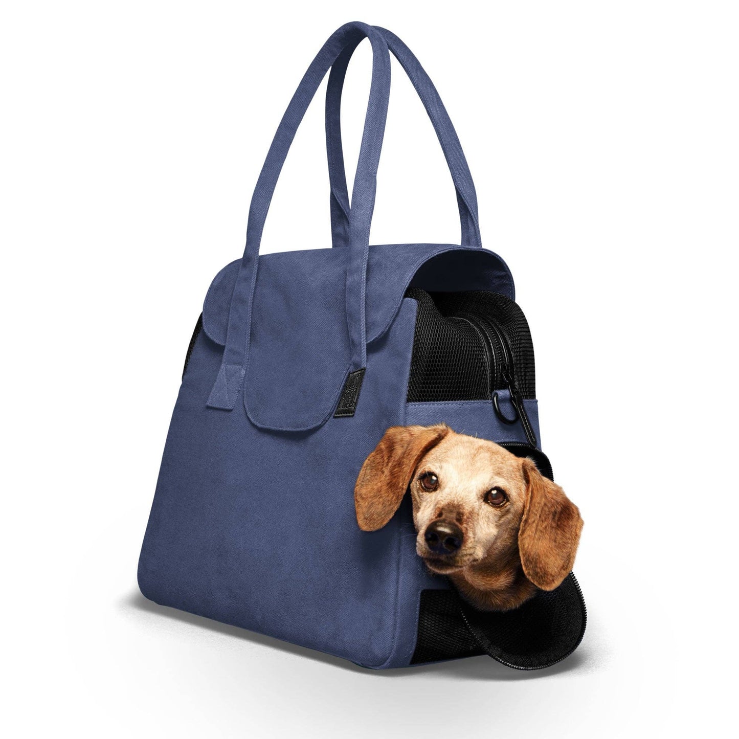 Destination Dog Tote