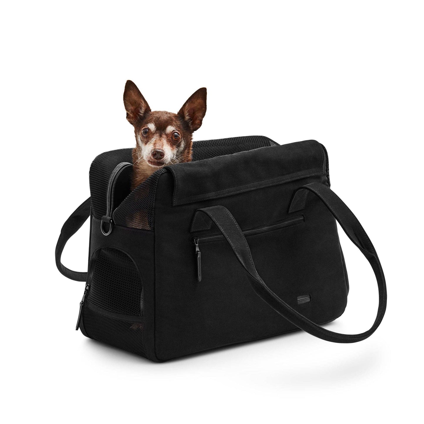 Destination Dog Tote