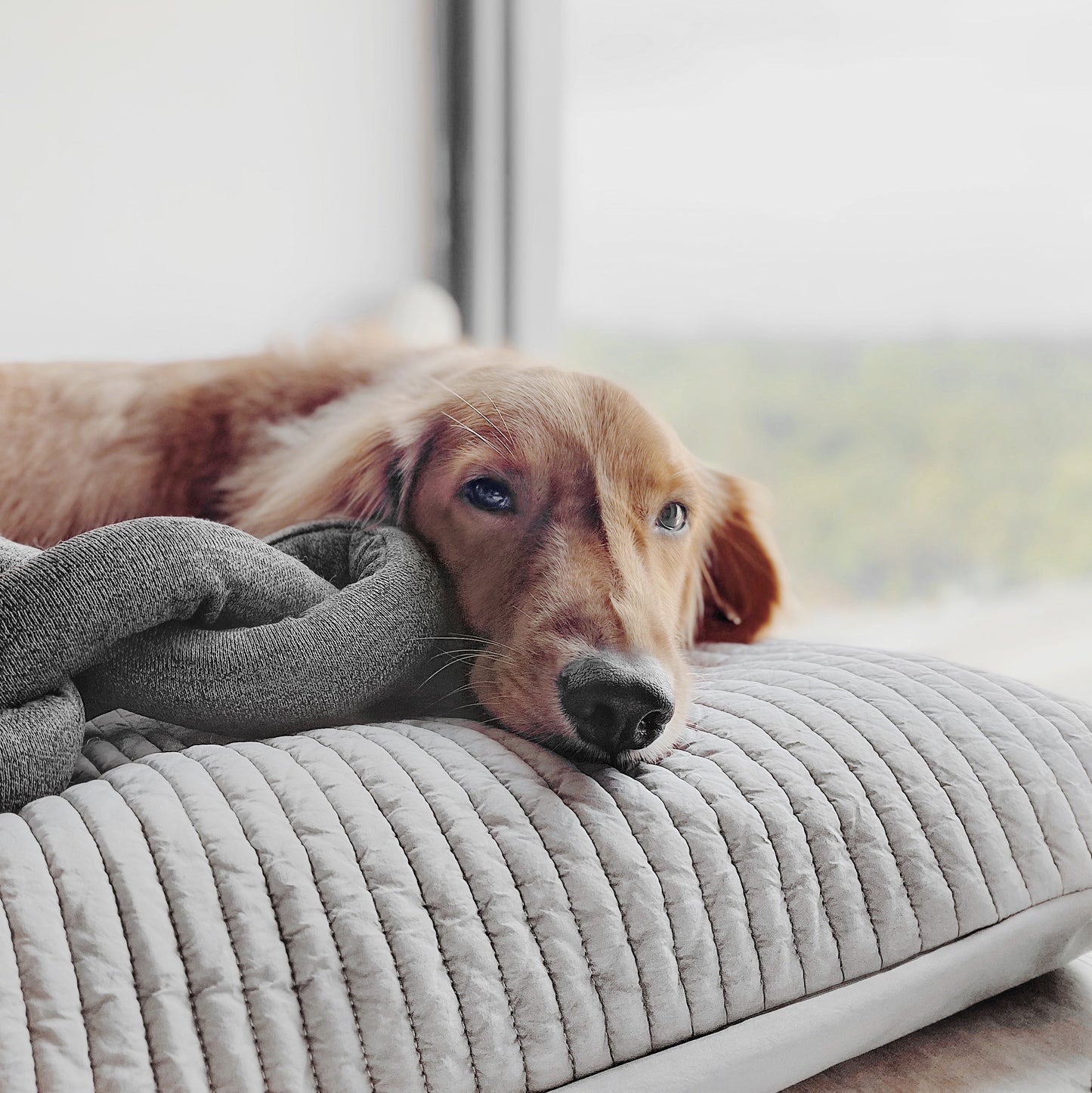 Nou® | Kohle mit Crinkle-Clustern 