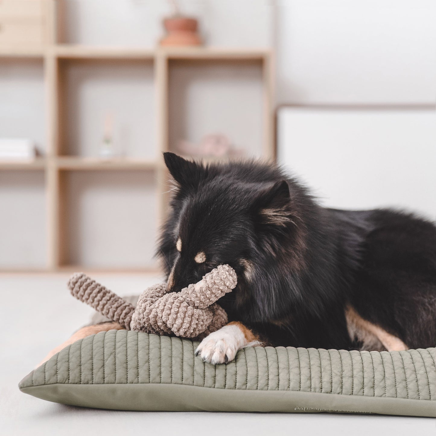 Nou® | Taupe mit Quietschern 