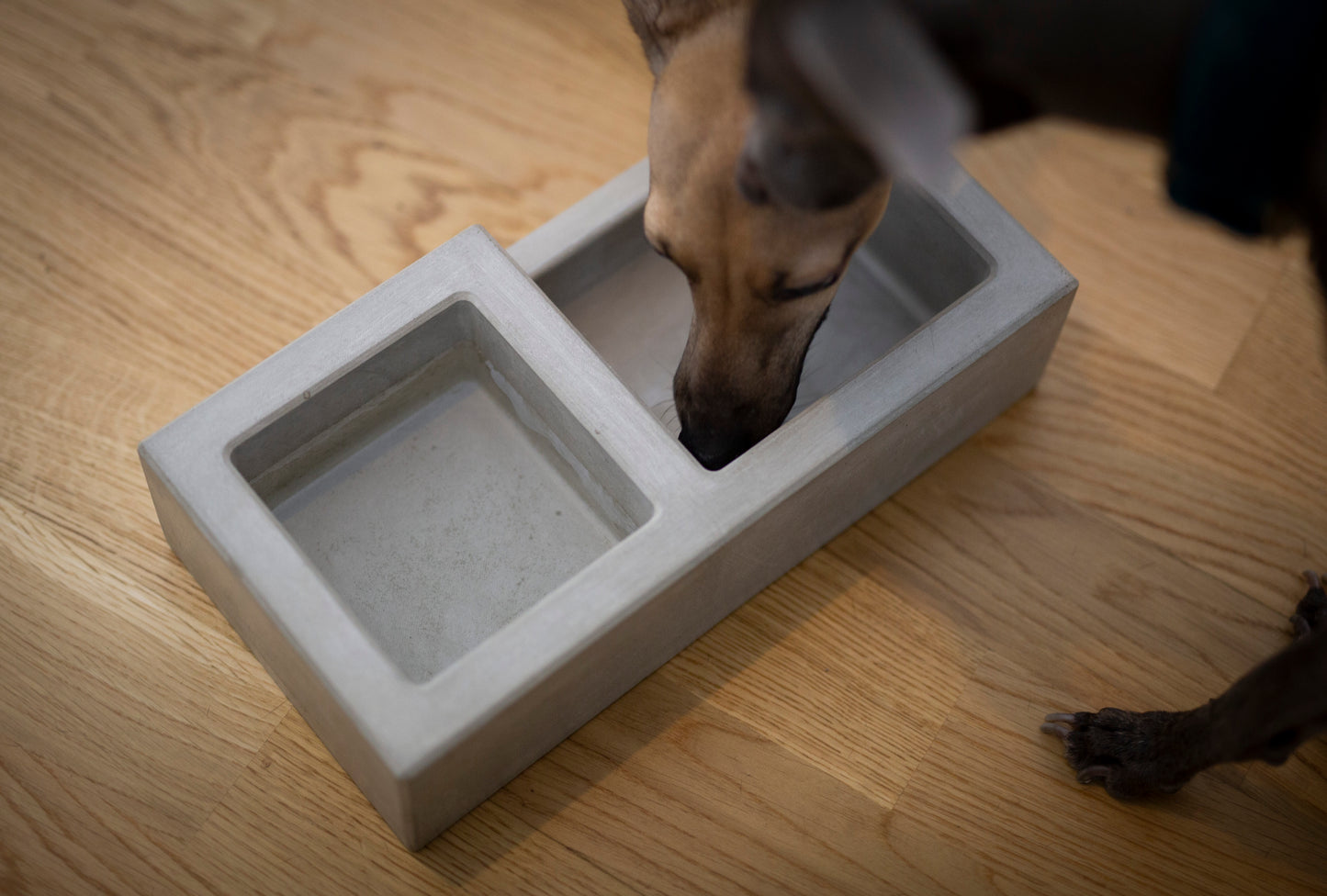 Hundefutterstation aus Beton