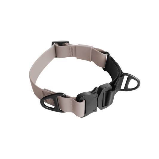 AVA Martingale Collar