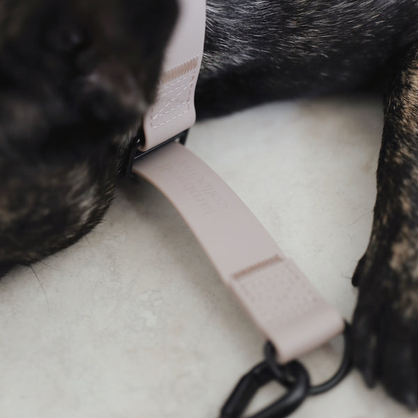 AVA Martingale Collar