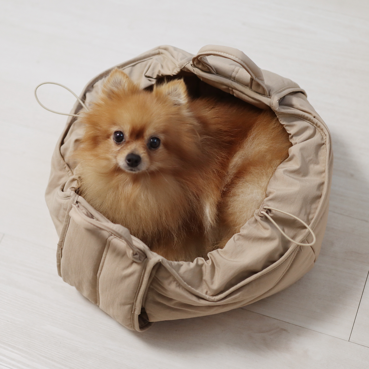 OLLA Petite Pet Carrycot