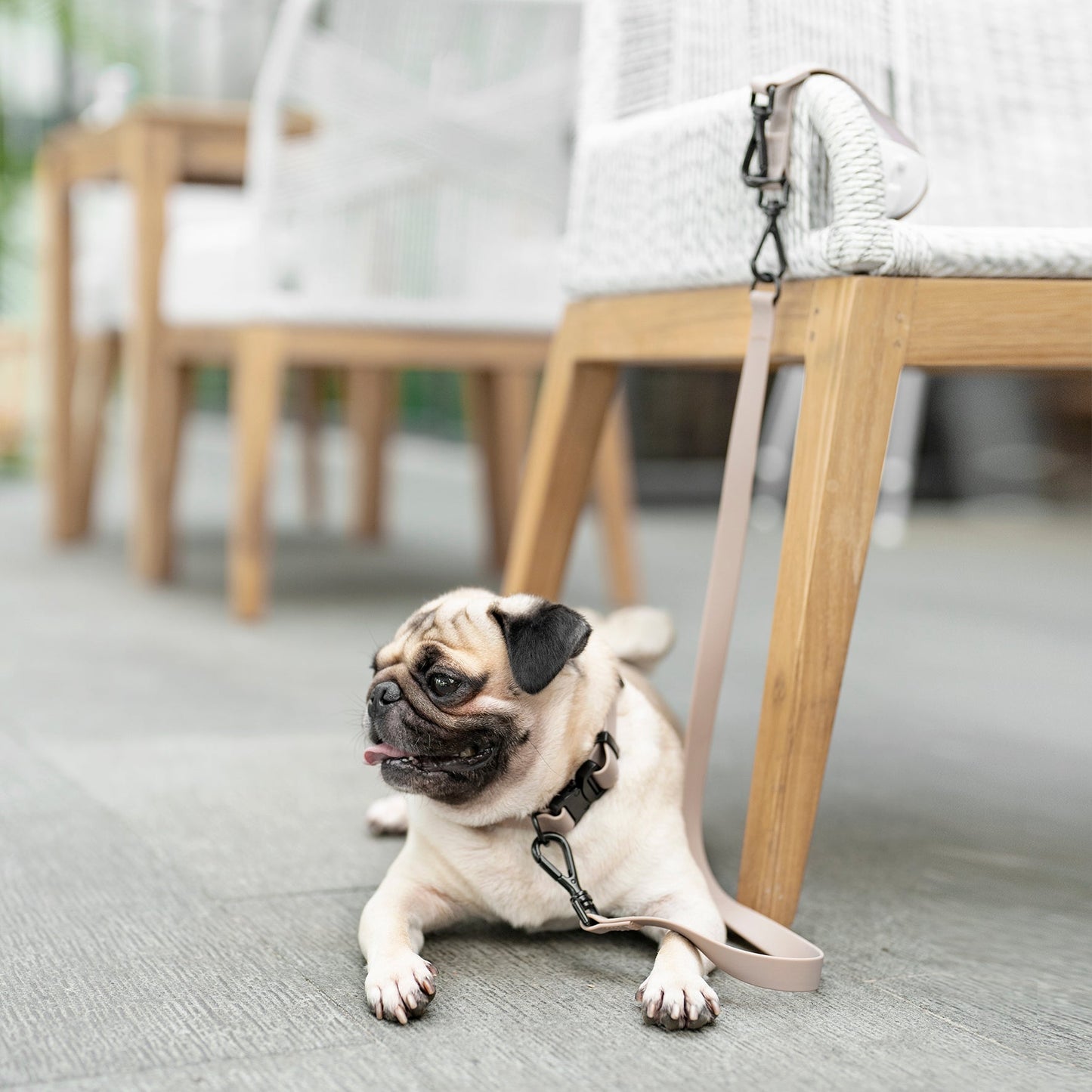 KNOX Multipurpose Tab