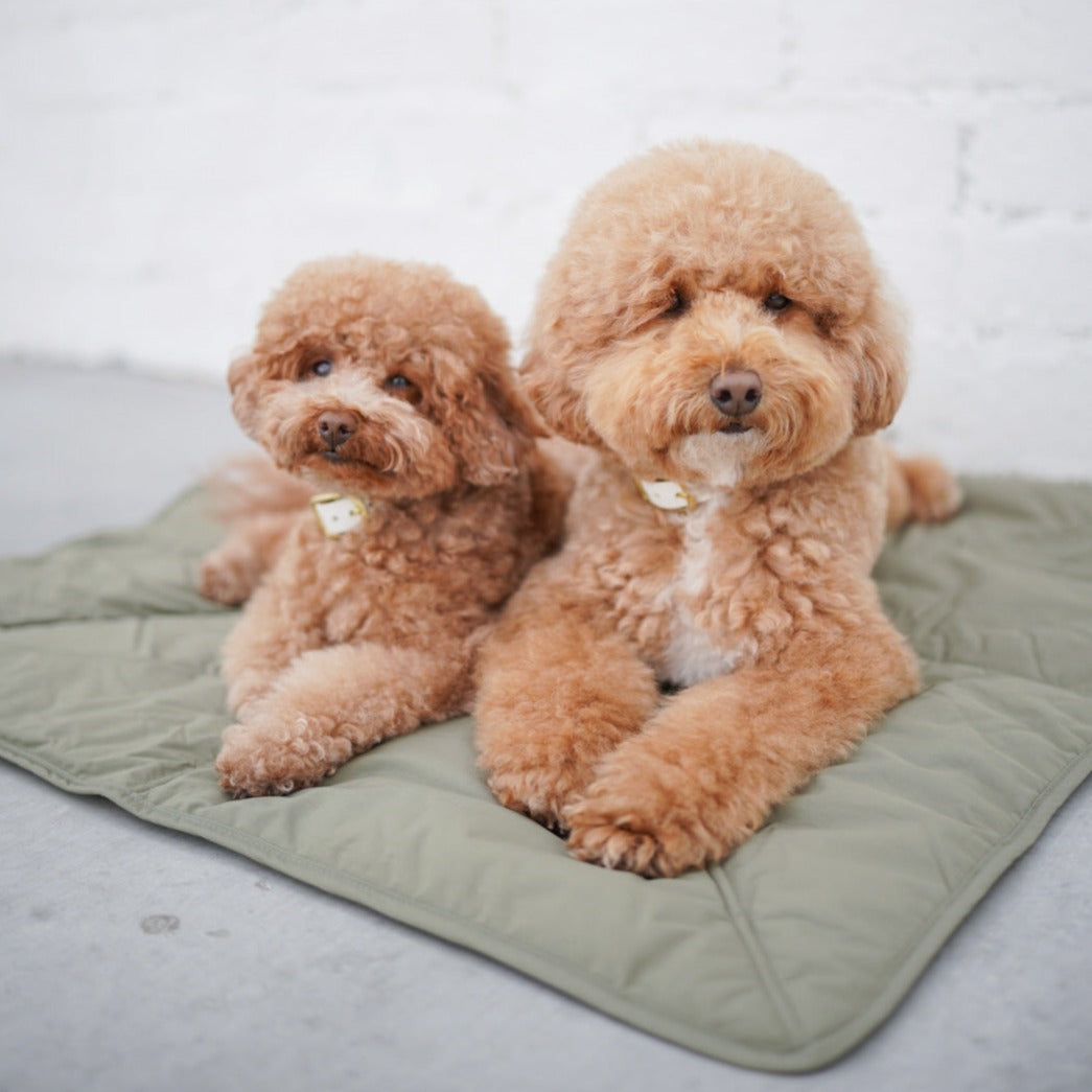 ORII Ultralight Pet Travel Mat