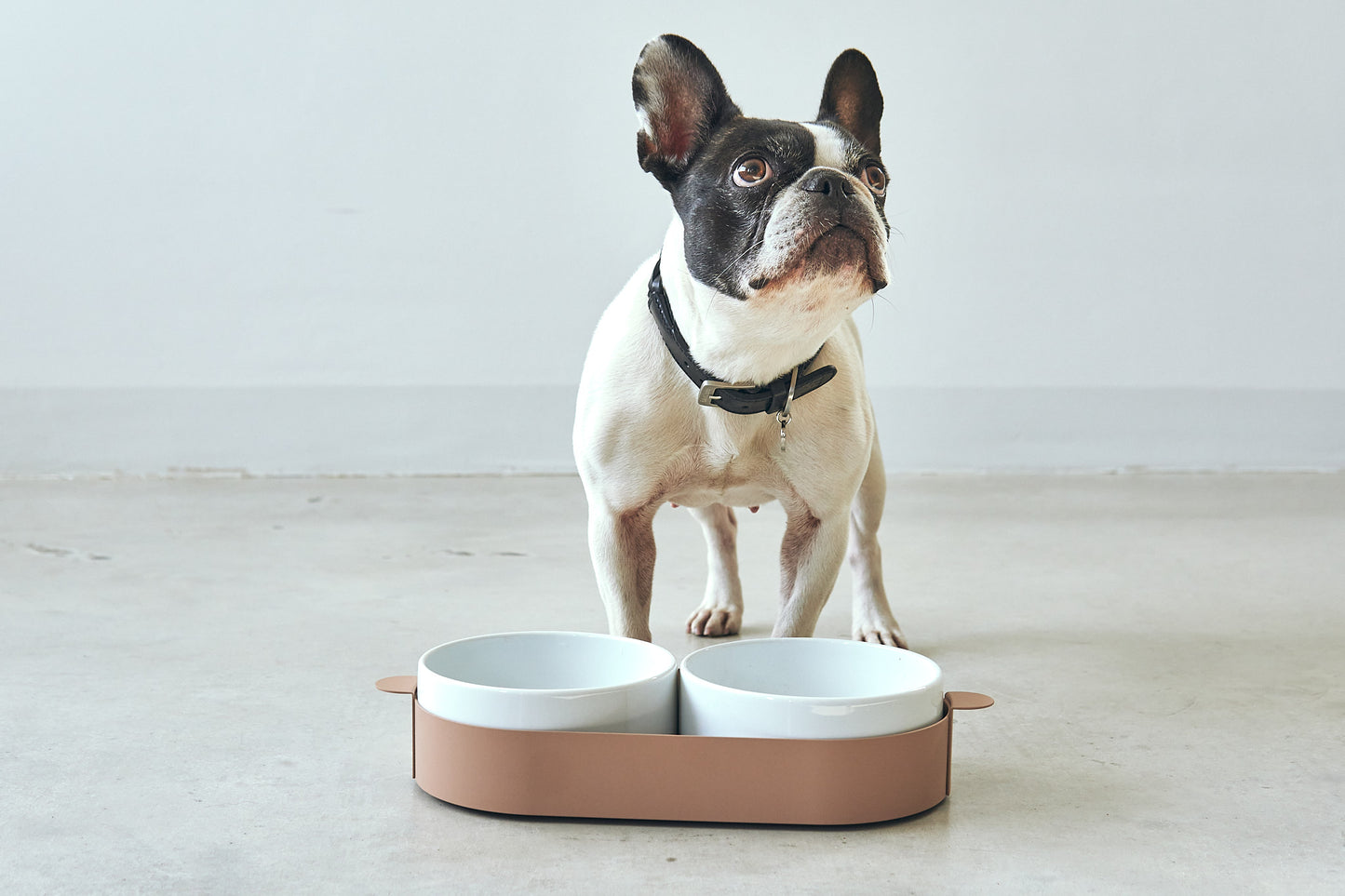 Tavoletta Hundenapf-Set