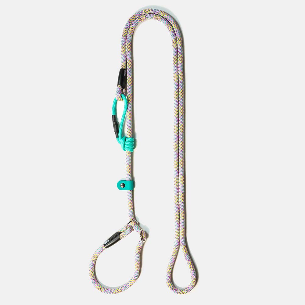 Extendable Retriever Leash