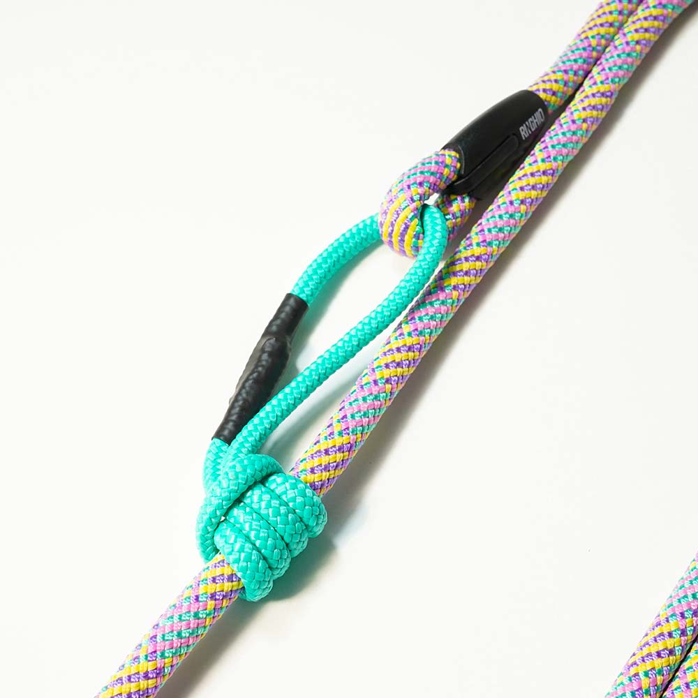 Extendable Retriever Leash