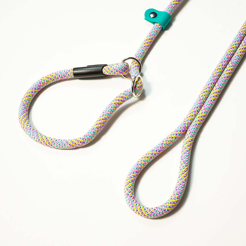 Extendable Retriever Leash