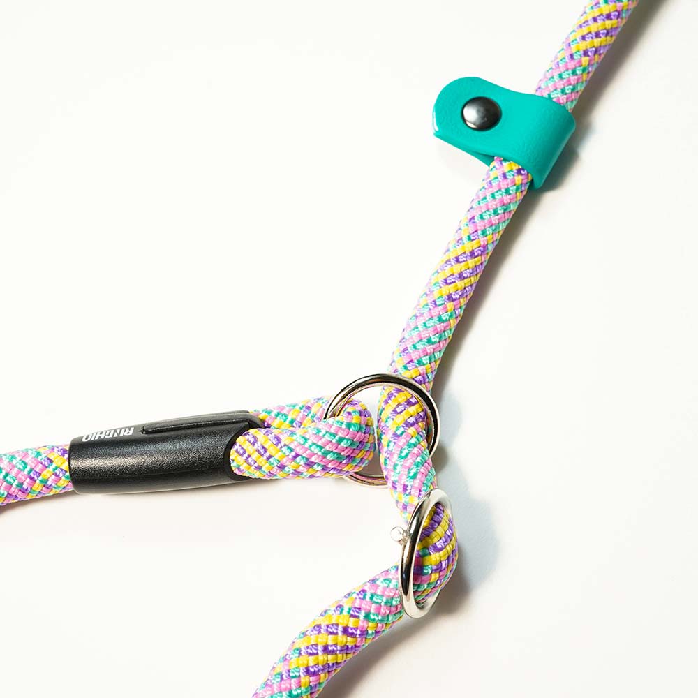 Extendable Retriever Leash