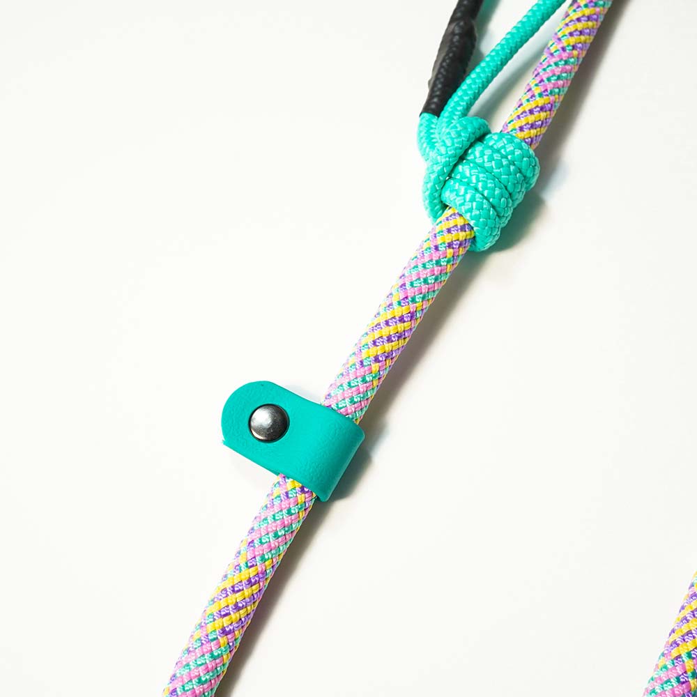 Extendable Retriever Leash