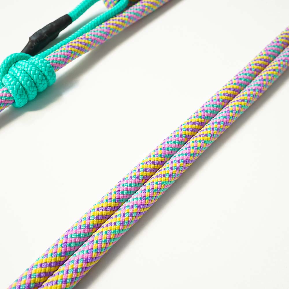 Extendable Retriever Leash