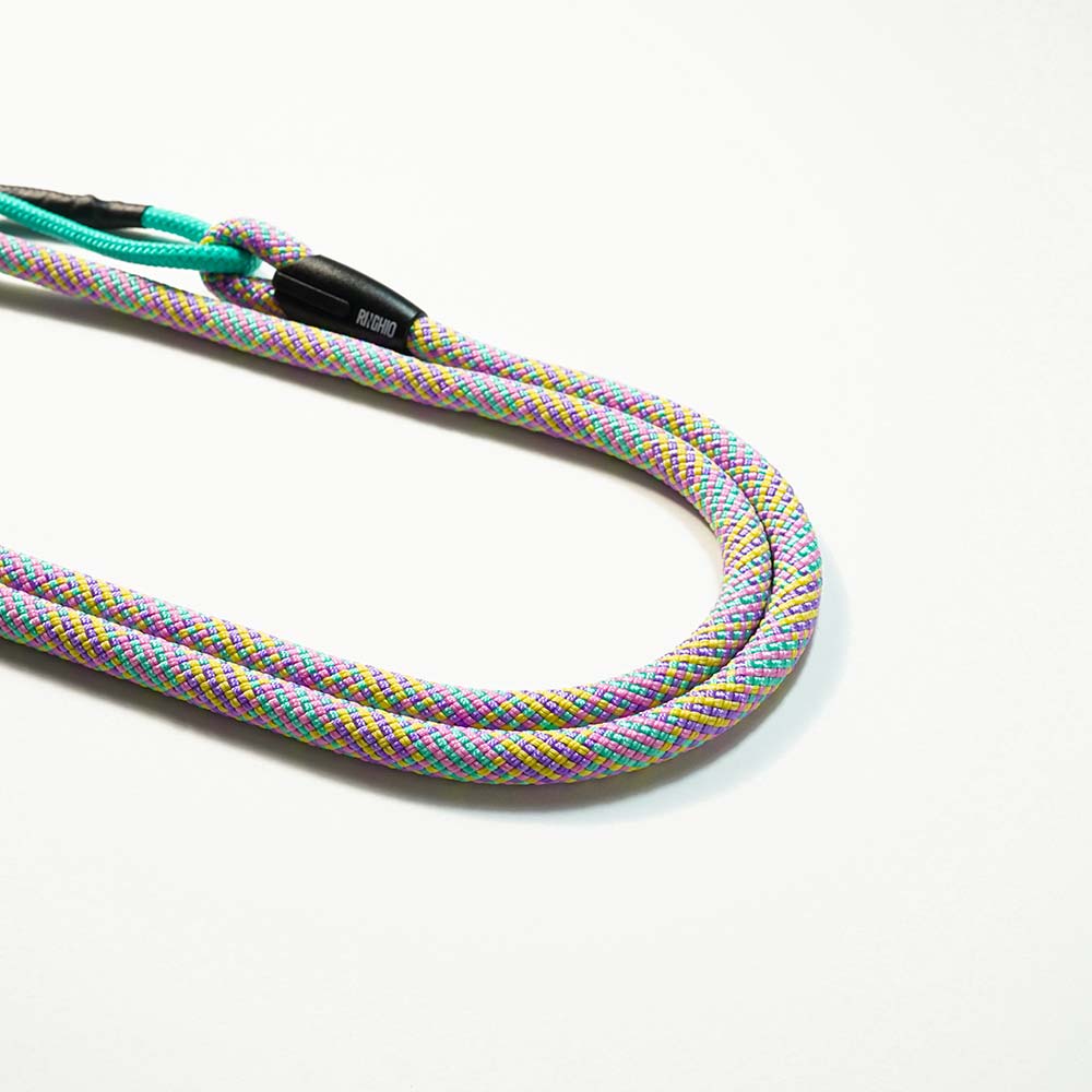 Extendable Retriever Leash