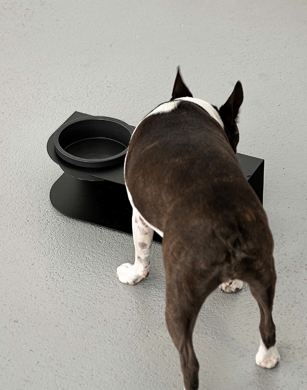 Semicolon Mini Dog Feeder